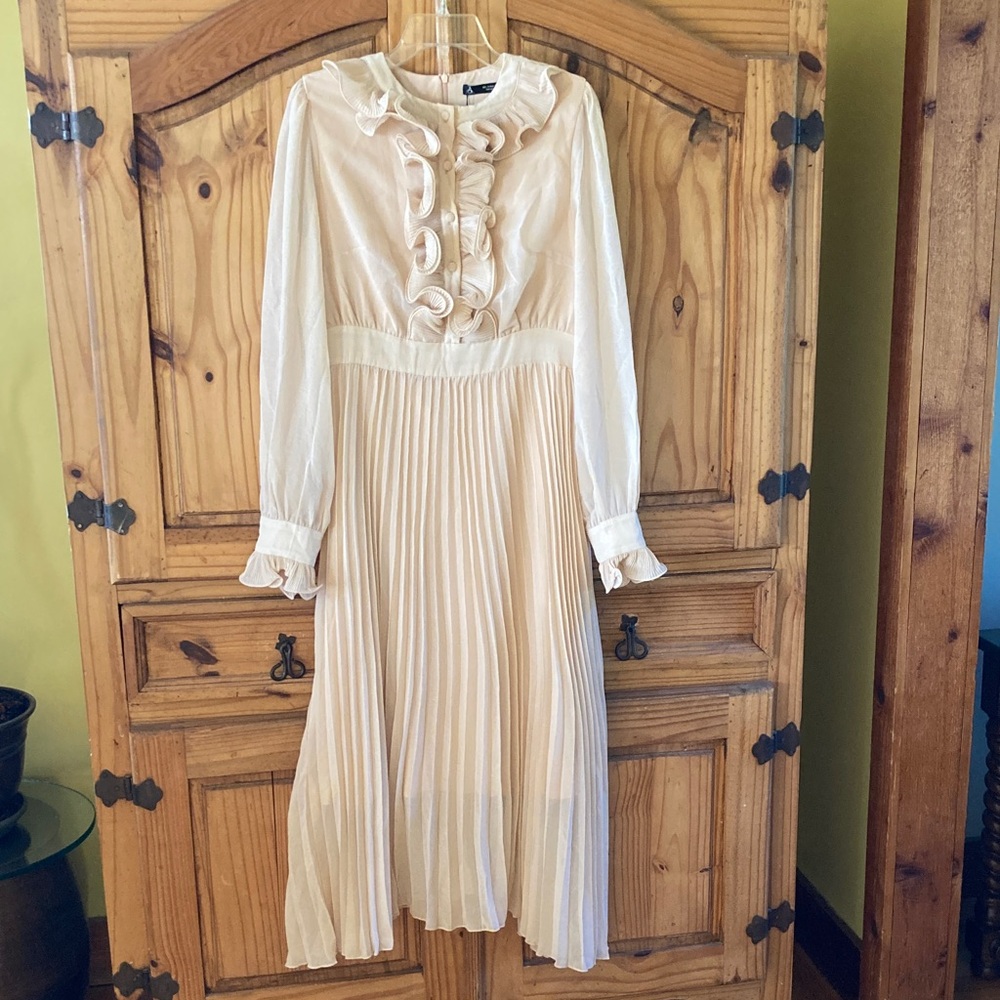 Anewsta nude pink ruffle long sheer sleeve Dress size L 8/10 - NWT